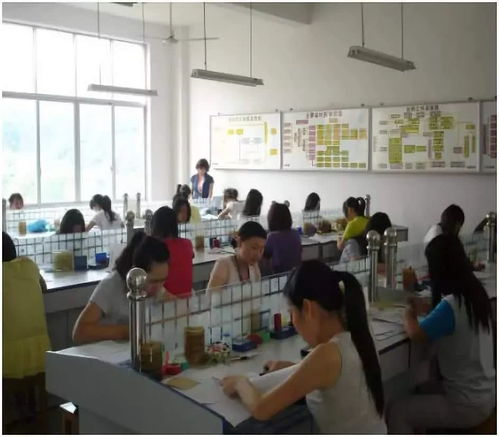 交通工程管理 連接未來(lái)與效率的專(zhuān)業(yè)選擇